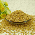 Yellow Broom Corn Millet (mijo amarillo)